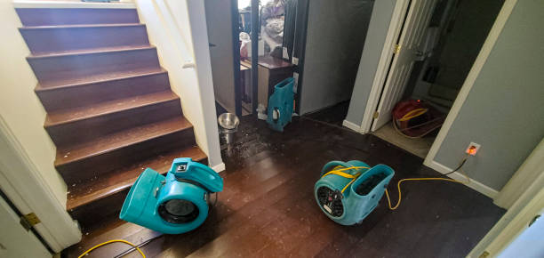 Sewage cleanup and water damage restoration in AZ