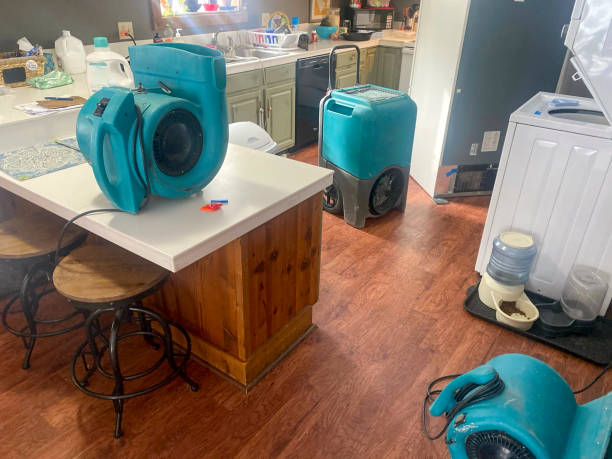 Best Water damage contractors near me  in Verde Village, AZ