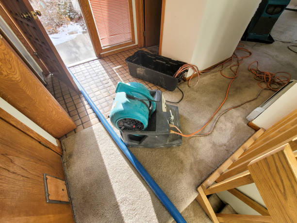 Best 24/7 water damage repair  in Verde Village, AZ