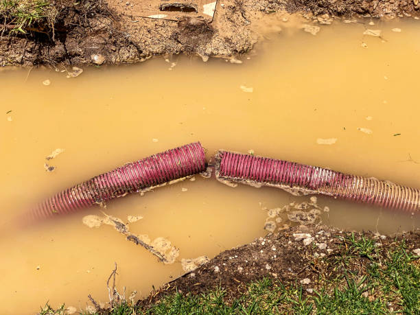 Best Water damage restoration experts  in Verde Village, AZ