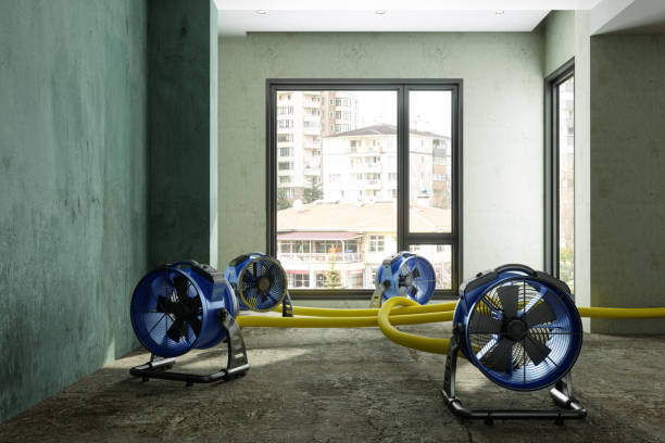 Best Water damage restoration near me  in Verde Village, AZ