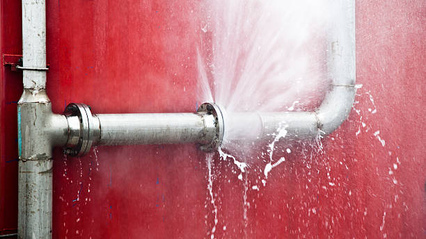 Best Mold removal after water damage  in Verde Village, AZ